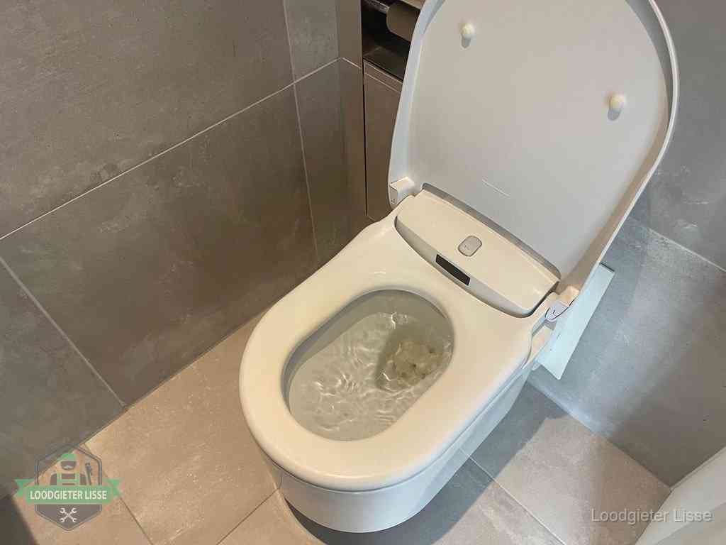 Wc Verstopt In Lisse Wc Verstopt In Lisse